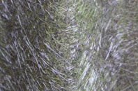 Port Arthur fibreglass roof work